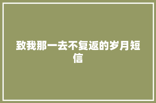 致我那一去不复返的岁月短信