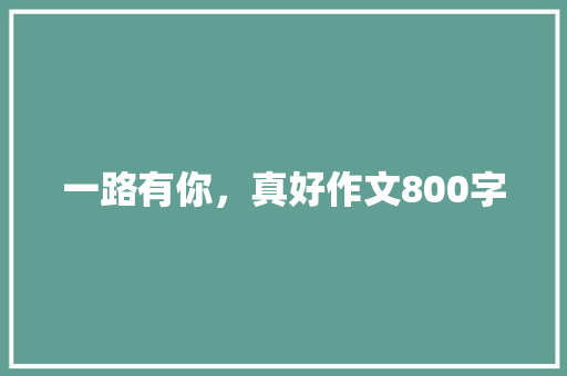 一路有你，真好作文800字