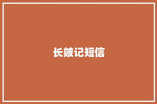 长皴记短信