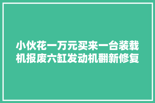 小伙花一万元买来一台装载机报废六缸发动机翻新修复后太