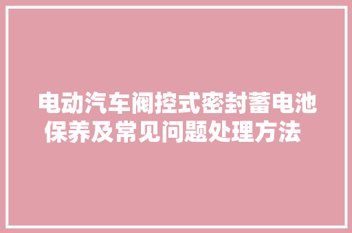 电动汽车阀控式密封蓄电池保养及常见问题处理方法  CNEV大年夜咖秀分享汇第二季第三期一 汽车知识