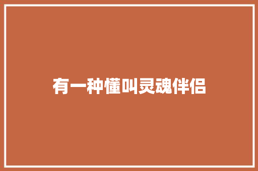 有一种懂叫灵魂伴侣