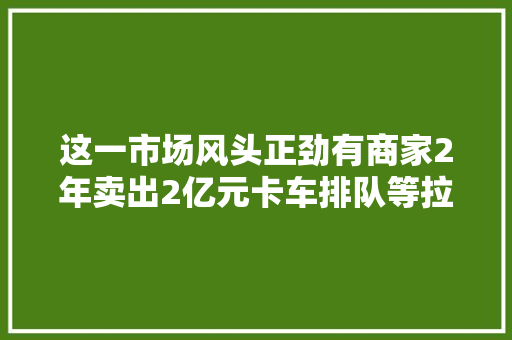 这一市场风头正劲有商家2年卖出2亿元卡车排队等拉货咋做到的