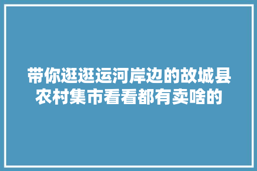 带你逛逛运河岸边的故城县农村集市看看都有卖啥的