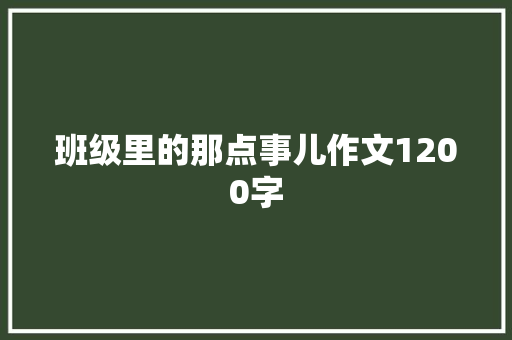 班级里的那点事儿作文1200字