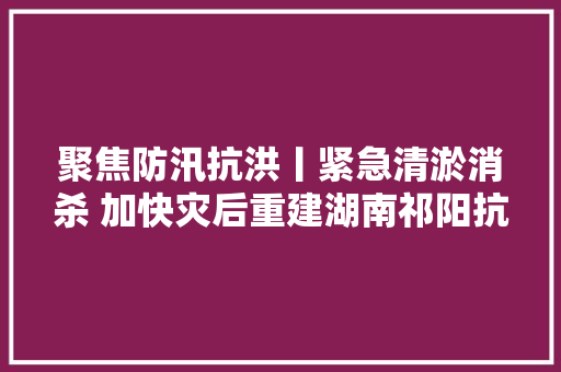 聚焦防汛抗洪丨紧急清淤消杀 加快灾后重建湖南祁阳抗洪抢险一线见闻