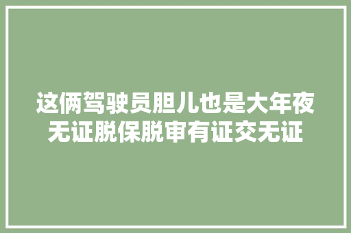 这俩驾驶员胆儿也是大年夜无证脱保脱审有证交无证