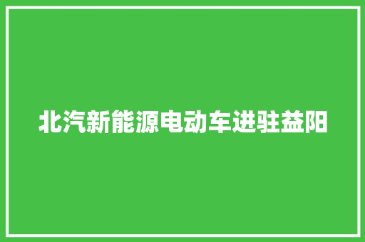 北汽新能源电动车进驻益阳
