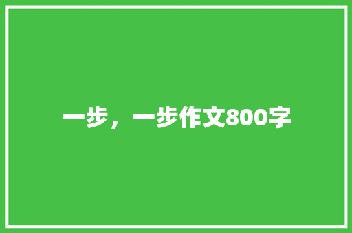 一步，一步作文800字