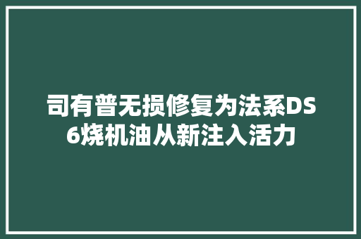 司有普无损修复为法系DS6烧机油从新注入活力
