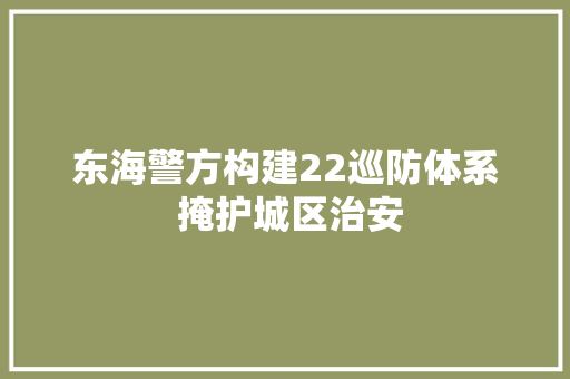 东海警方构建22巡防体系 掩护城区治安