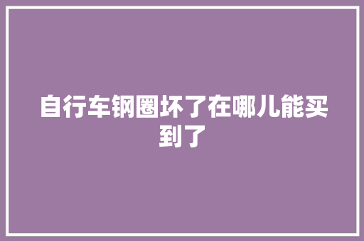 自行车钢圈坏了在哪儿能买到了
