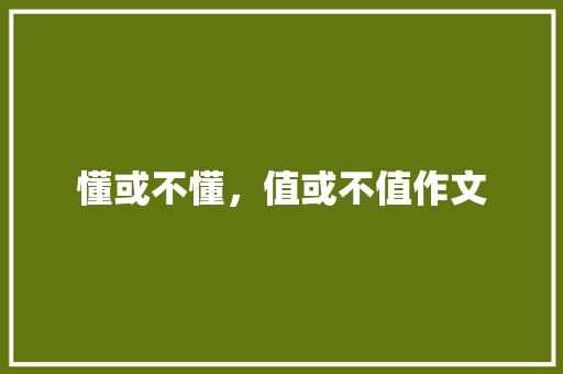 懂或不懂，值或不值作文