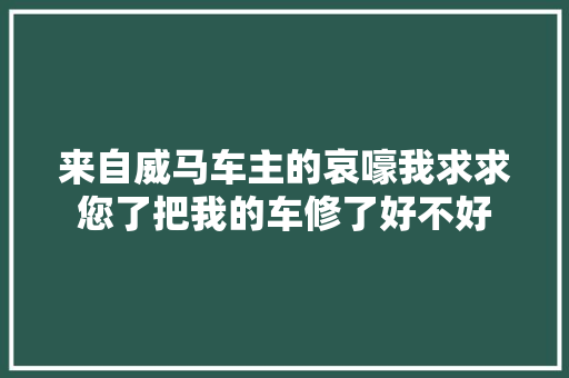 来自威马车主的哀嚎我求求您了把我的车修了好不好