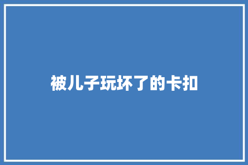 被儿子玩坏了的卡扣