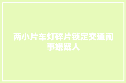 两小片车灯碎片锁定交通闹事嫌疑人