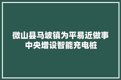 微山县马坡镇为平易近做事中央增设智能充电桩