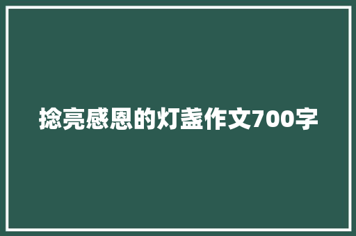捻亮感恩的灯盏作文700字