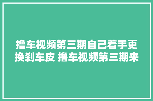 撸车视频第三期自己着手更换刹车皮 撸车视频第三期来了