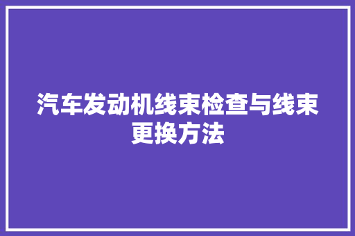 汽车发动机线束检查与线束更换方法
