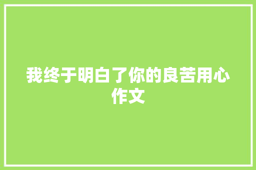我终于明白了你的良苦用心作文