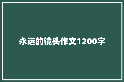 永远的镜头作文1200字