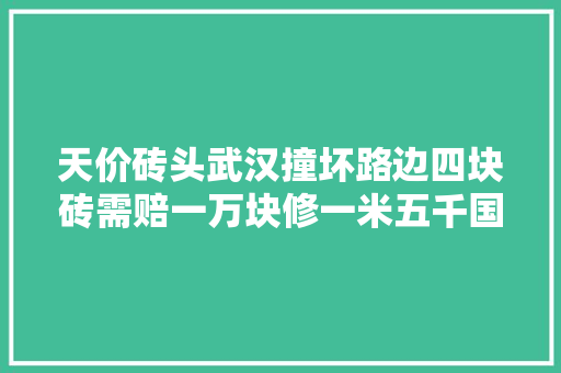 天价砖头武汉撞坏路边四块砖需赔一万块修一米五千国家钱花这