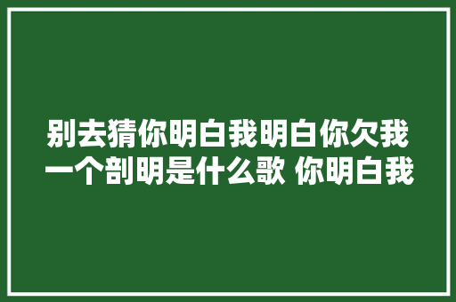 别去猜你明白我明白你欠我一个剖明是什么歌 你明白我明白歌词