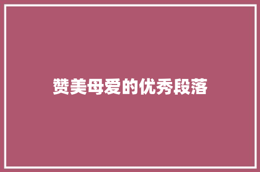赞美母爱的优秀段落