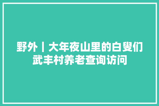 野外｜大年夜山里的白叟们武丰村养老查询访问