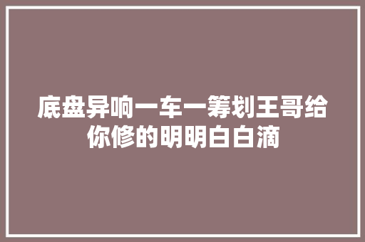 底盘异响一车一筹划王哥给你修的明明白白滴