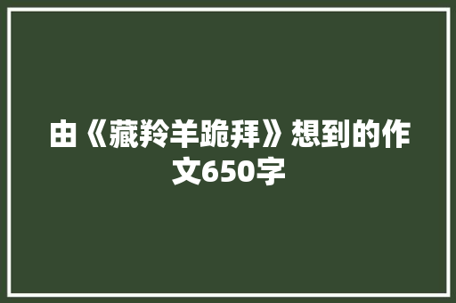 由《藏羚羊跪拜》想到的作文650字