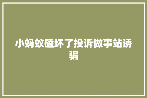 小蚂蚁磕坏了投诉做事站诱骗
