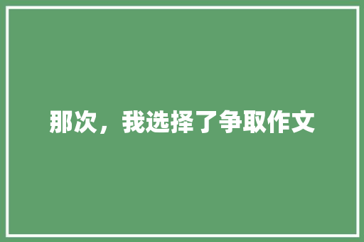 那次，我选择了争取作文