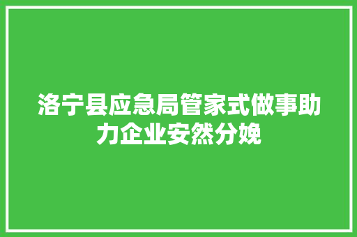 洛宁县应急局管家式做事助力企业安然分娩