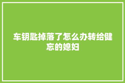 车钥匙掉落了怎么办转给健忘的媳妇