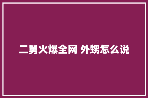 二舅火爆全网 外甥怎么说