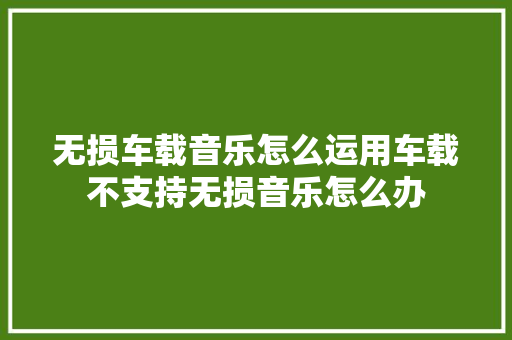 无损车载音乐怎么运用车载不支持无损音乐怎么办