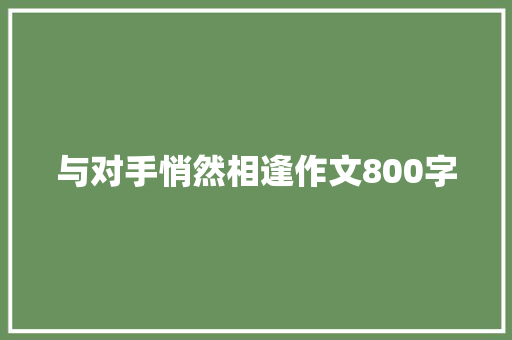 与对手悄然相逢作文800字