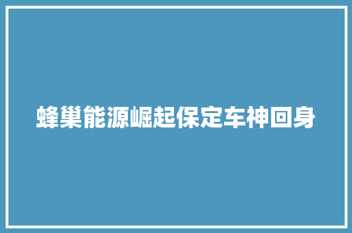蜂巢能源崛起保定车神回身