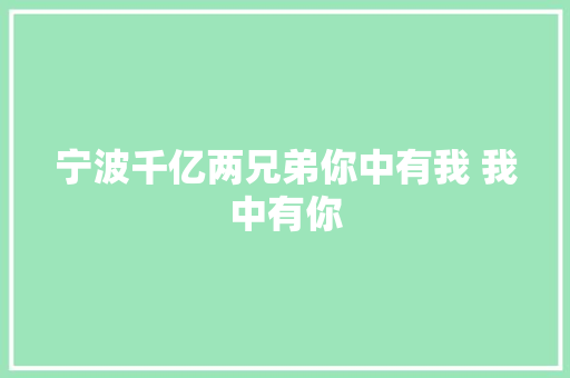 宁波千亿两兄弟你中有我 我中有你
