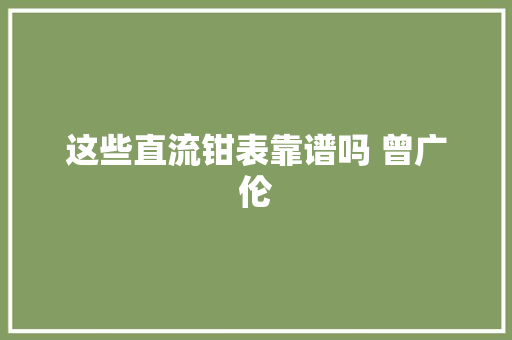 这些直流钳表靠谱吗 曾广伦