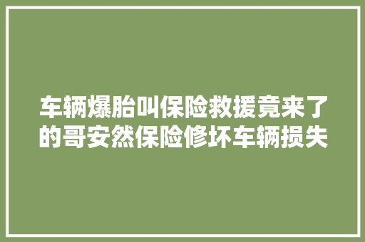 车辆爆胎叫保险救援竟来了的哥安然保险修坏车辆损失近三万该谁买单