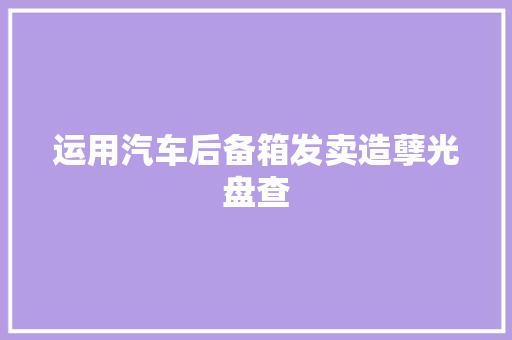 运用汽车后备箱发卖造孽光盘查