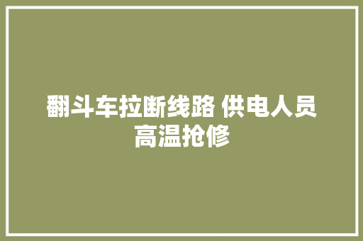 翻斗车拉断线路 供电人员高温抢修