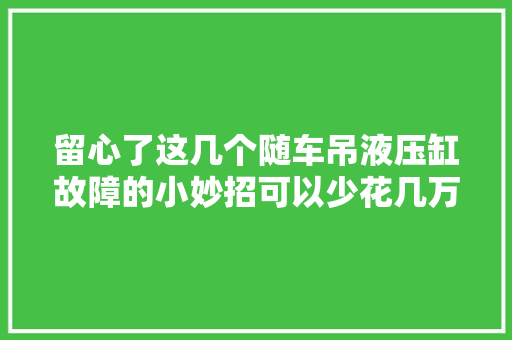 留心了这几个随车吊液压缸故障的小妙招可以少花几万块