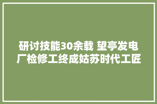 研讨技能30余载 望亭发电厂检修工终成姑苏时代工匠