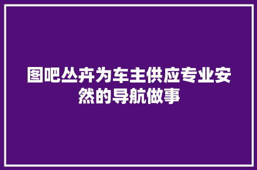 图吧丛卉为车主供应专业安然的导航做事