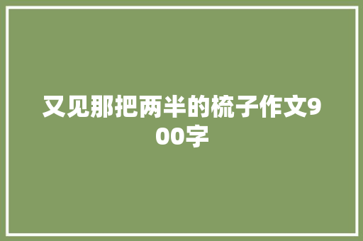 又见那把两半的梳子作文900字