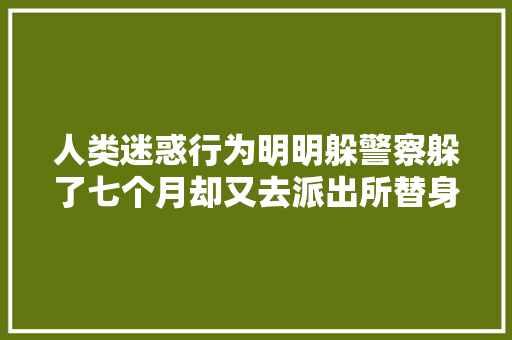 人类迷惑行为明明躲警察躲了七个月却又去派出所替身交担保金